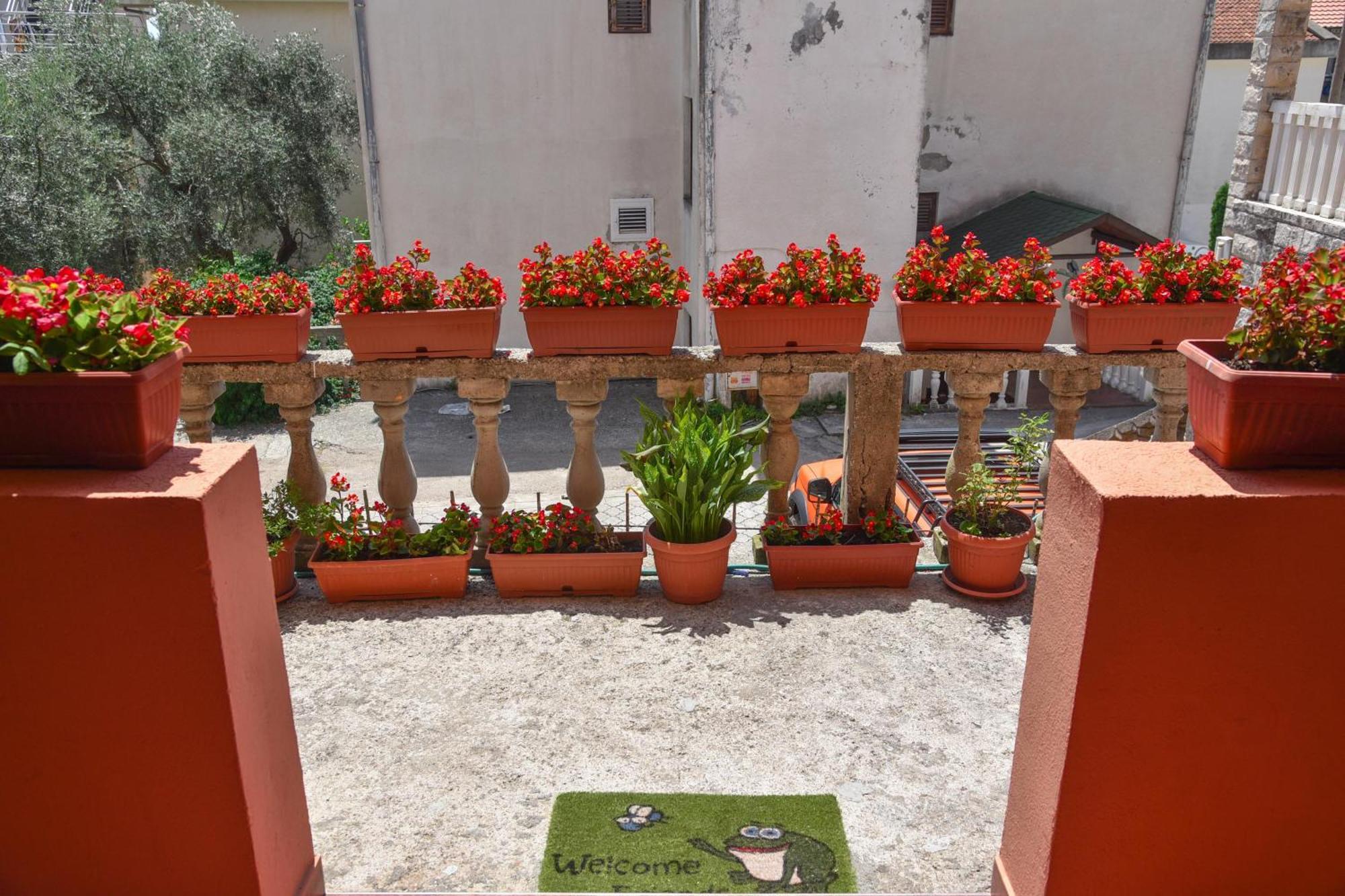 Vila Apartments Lidija Petrovac Exterior photo